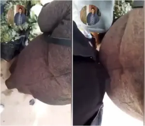 سكس مصري تحرش ملبق بطيز الست في السوق