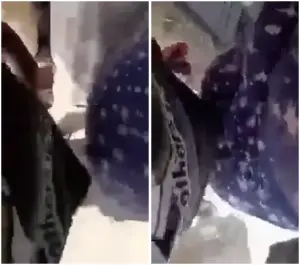 سكس مصري تحرش نار