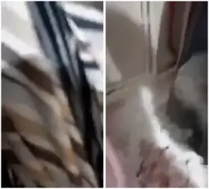 يلعب بطيز امه وهي فالمطبخ