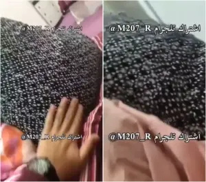 عزوز الديوث يدخل يده بين فلقات طيز امه