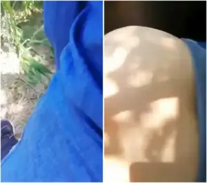 نيك زوجة صديقي المحجبة في الغابة