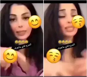 شرح عن زنبور الكس للمبتدئين