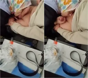 تركية محجبة ترضع زب حبيبها في البيت