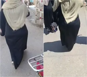 قنص طياز الشارع 12